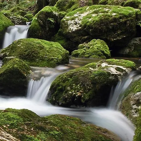 Logis Restaurant Le Bellevue Hotel 3*